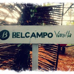 Belcampo Vanilla
