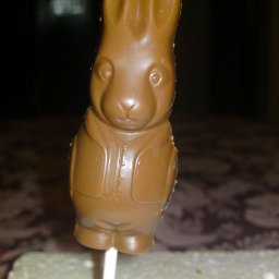 Milk Bunny Pop