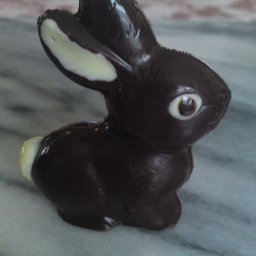 Dark Bunny