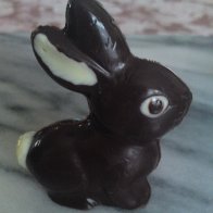 Dark Bunny