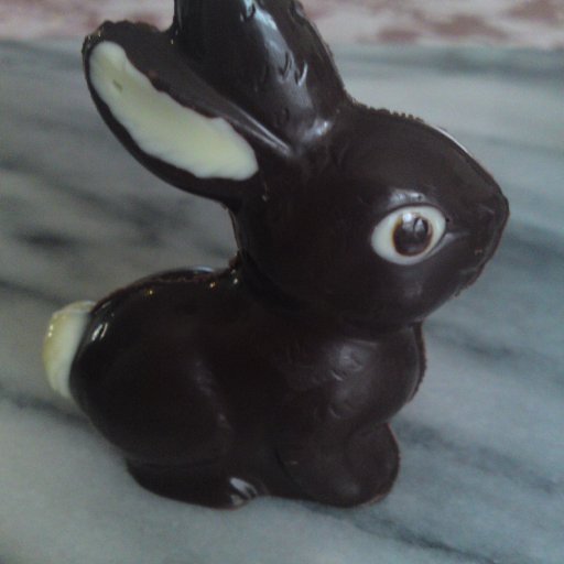 Dark Bunny