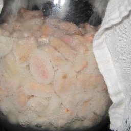 Day 1, fermenting in oven with pilot light on, door ajar