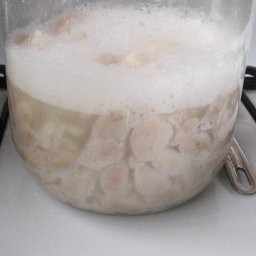 Day 2, just after gently stirring