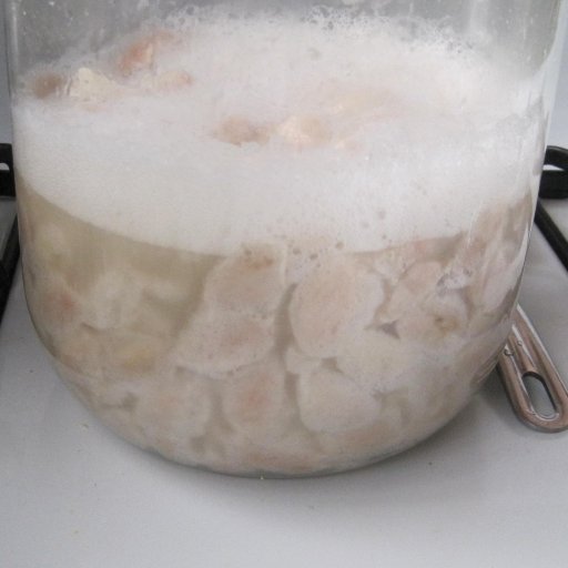 Day 2, just after gently stirring