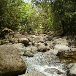 Mossman Trip