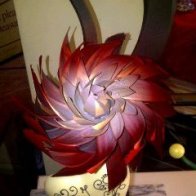 Valentines Flower