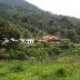 Faz Sta Cruz