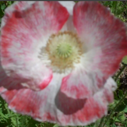 2012-04-25_1954