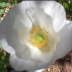 2012-04-25_1954