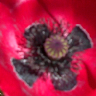 2012-04-25_1954