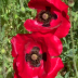 2012-04-25_1954