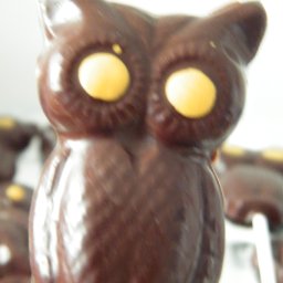 Milk chocolate owl