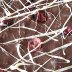 Cranberry crunch bark