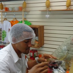 Miguel Hernandez - Sendero de Cacao DR