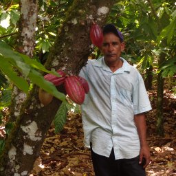 End of Harvest - Dominican Republic