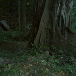 Strong Roots