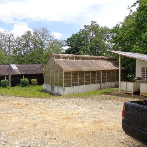 El Instituto Dominicano de Investigaciones Agropecuarias y Forestales (IDIAF)