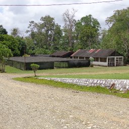El Instituto Dominicano de Investigaciones Agropecuarias y Forestales (IDIAF)