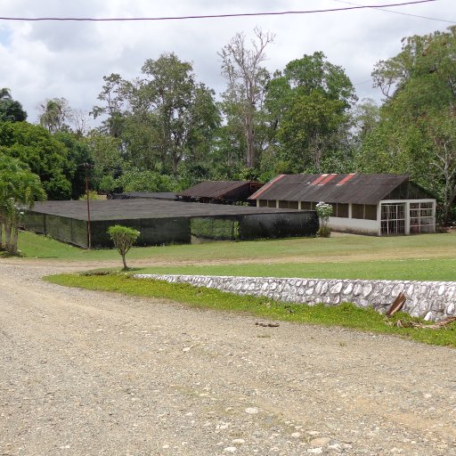 El Instituto Dominicano de Investigaciones Agropecuarias y Forestales (IDIAF)