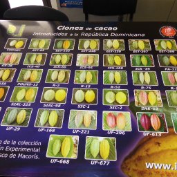 El Instituto Dominicano de Investigaciones Agropecuarias y Forestales (IDIAF)