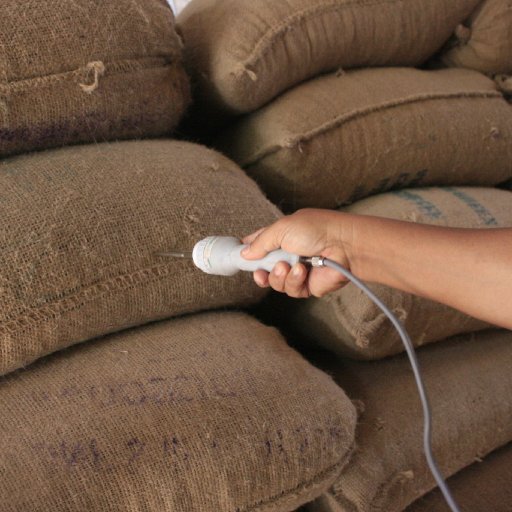 Moisture Testing