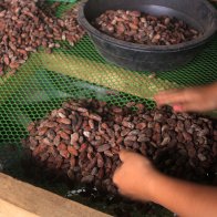 More Hand-Sorting