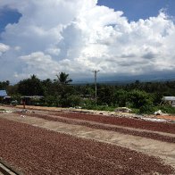 Cement Drying