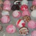 Chocolate Confectionery at CCA