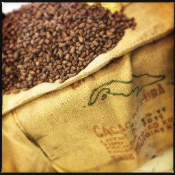 Euro2012 Amsterdam - Cuban Baracoa beans