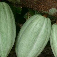 Belize 2011 187