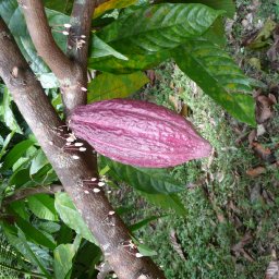 Belize 2011 184