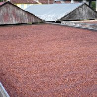 9.1Sun Drying Module
