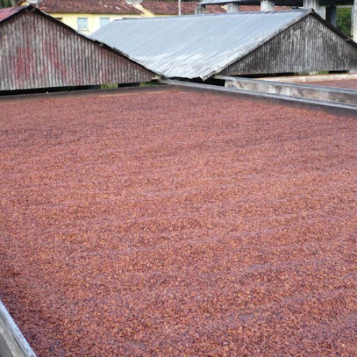 9.1Sun Drying Module