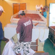 9.3Cleaning and Classification of Cacau Beans