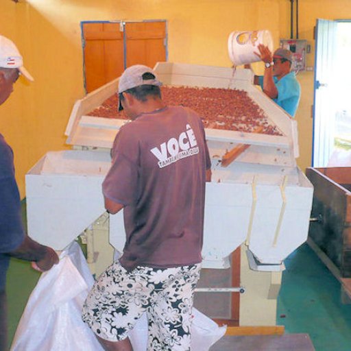 9.3Cleaning and Classification of Cacau Beans
