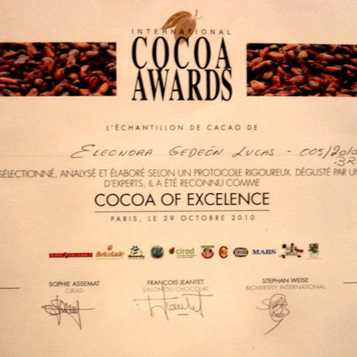 Excellence Award 2010