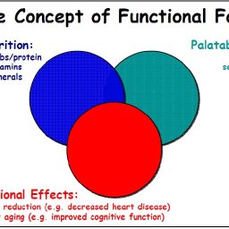 functional 2
