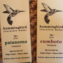 Hummingbird