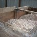 Cacao Fermentation