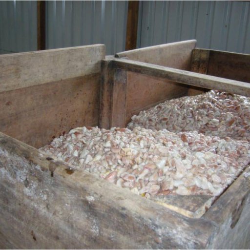 Cacao Fermentation