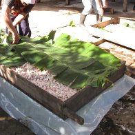 Cacao Fermentation