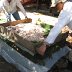 Cacao Fermentation
