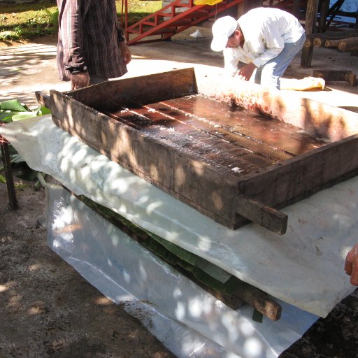 Cacao Fermentation