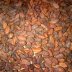thats a lot of cocoa3