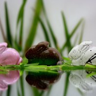 Truffle Bunny by Irresistible Confections