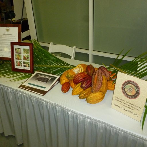 2013 hawaii chocolate festival