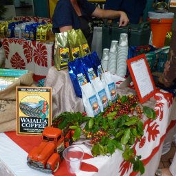 2013 hawaii chocolate festival