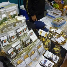 2013 hawaii chocolate festival