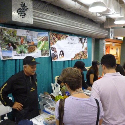 2013 hawaii chocolate festival