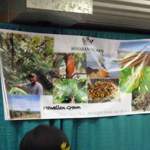 2013 hawaii chocolate festival